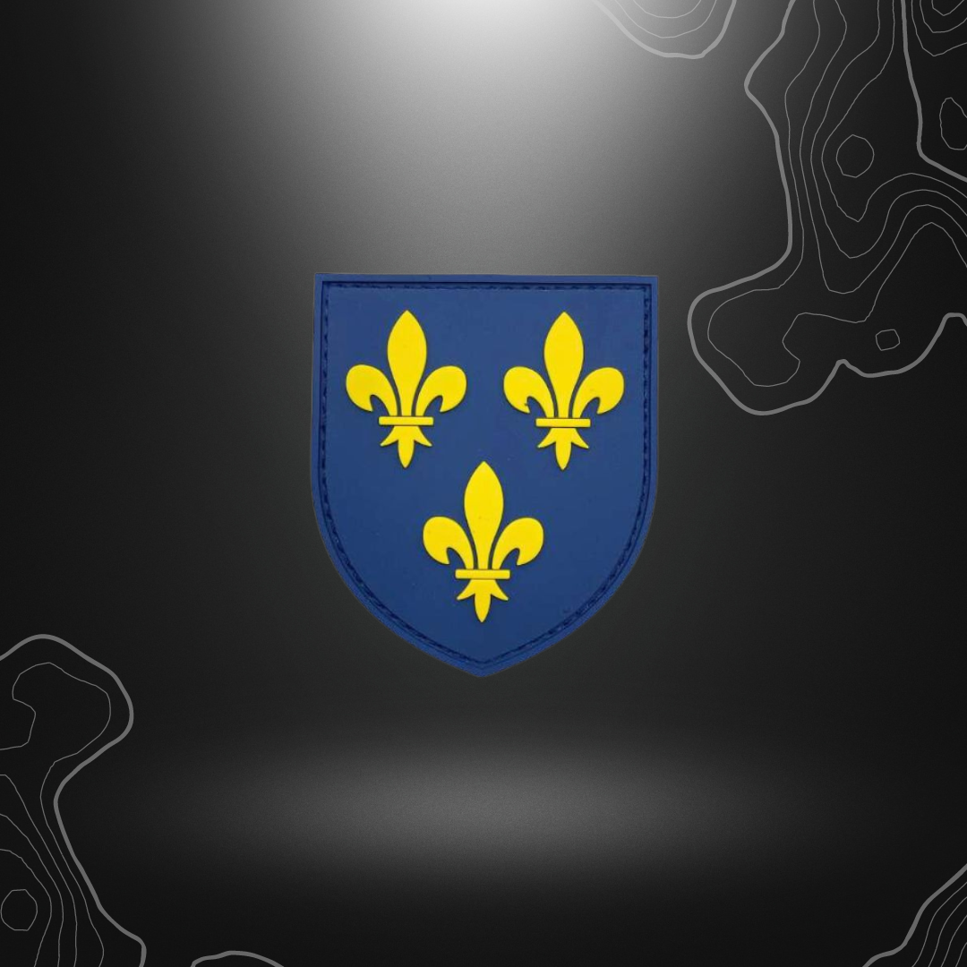 PATCH BLASON DES ARMOIRIES DU ROYAUME DE FRANCE PVC