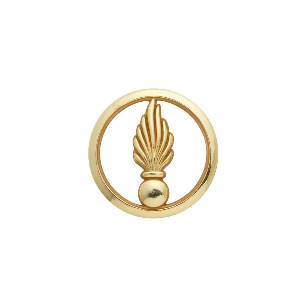 Alt=Insigne doré de Béret GSEM Cadre Spécial