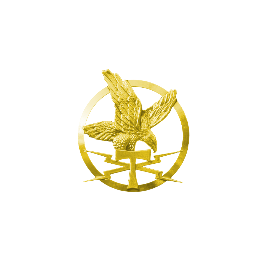 Alt tag pour une insigne de béret or symbolisant la guerre électrique