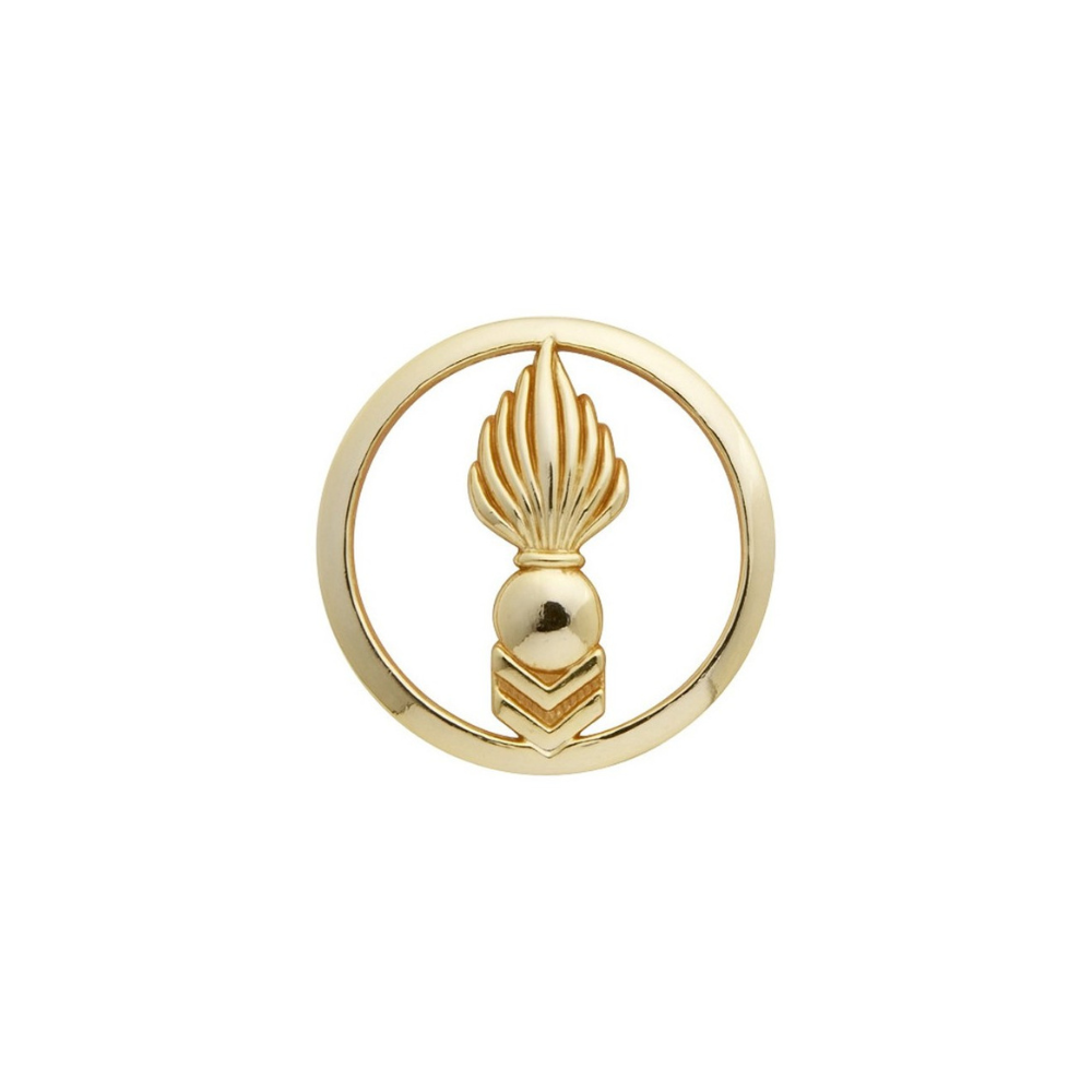 Insigne en or pour béret CTA