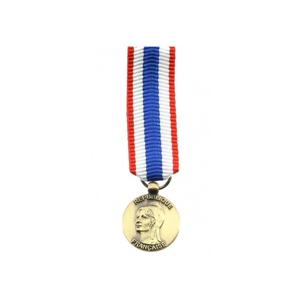 Medaille militaire pour la protection du territoire