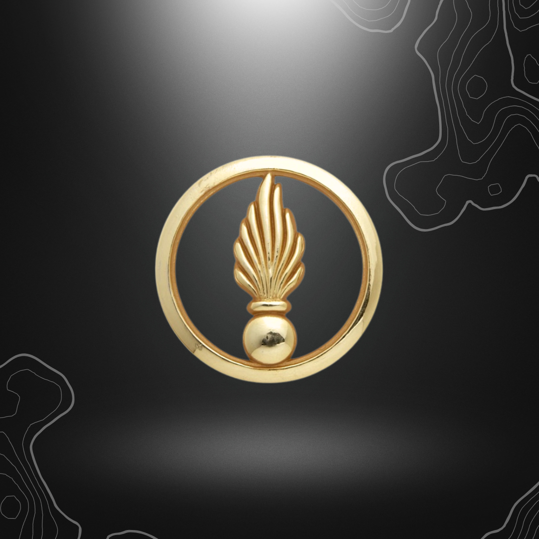 Logo doré de l'insigne de béret GSEM pour cadre spécial