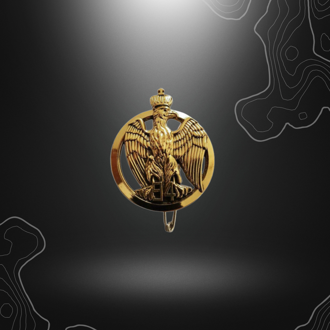 Logo doré de l'insigne de béret 94 RI