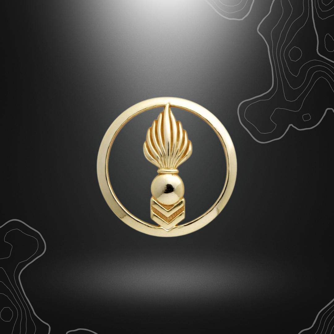 Ornée insigne de béret CTA en or