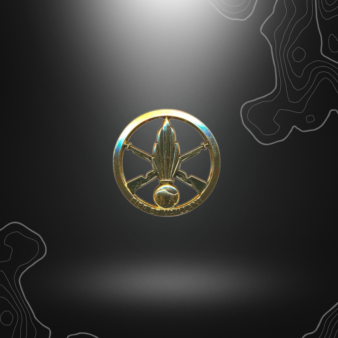 Alt tag pour l'insigne de béret 126 RI en or