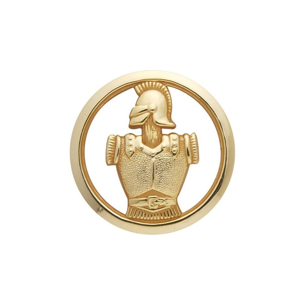 Image d'un insigne de béret du génie militaire en or