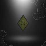 PATCH 1ERE DIV BV