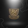 Insigne de béret commando marine en bronze