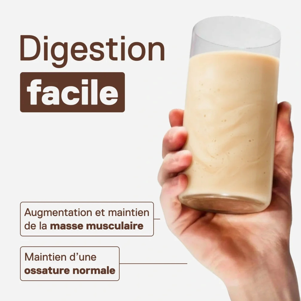 WHEY PROTEIN LIGHT DIGEST FRAISE