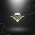 Alt tag pour Insigne Brevet Militaire Para en argent avec Pins