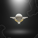 Alt tag pour Insigne Brevet Militaire Para en argent avec Pins