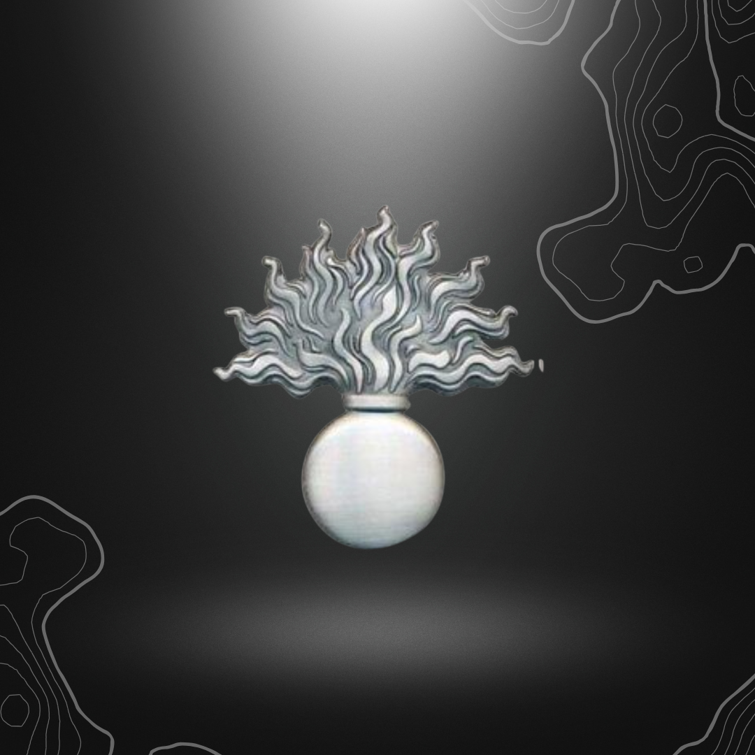 INSIGNE BÉRET 12ème CUIRASSIERS