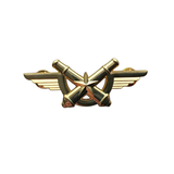 BARETEMBLEEM 61 RA GOUD