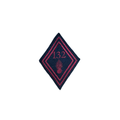 WAPENSCHILD PATCH 132