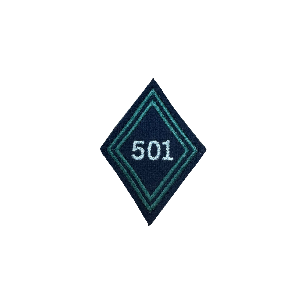 PATCH LOSANGE D'ARME 501 RCC