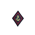 TDM-PATCH MET RUITWAPEN ONDEROFFICIER