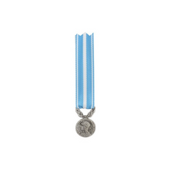 Bronze argenté Médaille Réduction Outre-Mer sans barrette