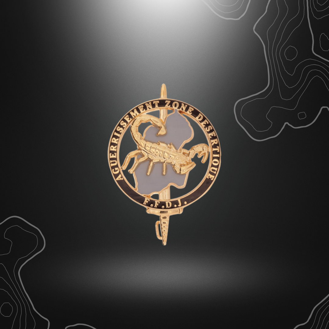 Badge de brevet militaire d'aguerrissement en zone désertique en or