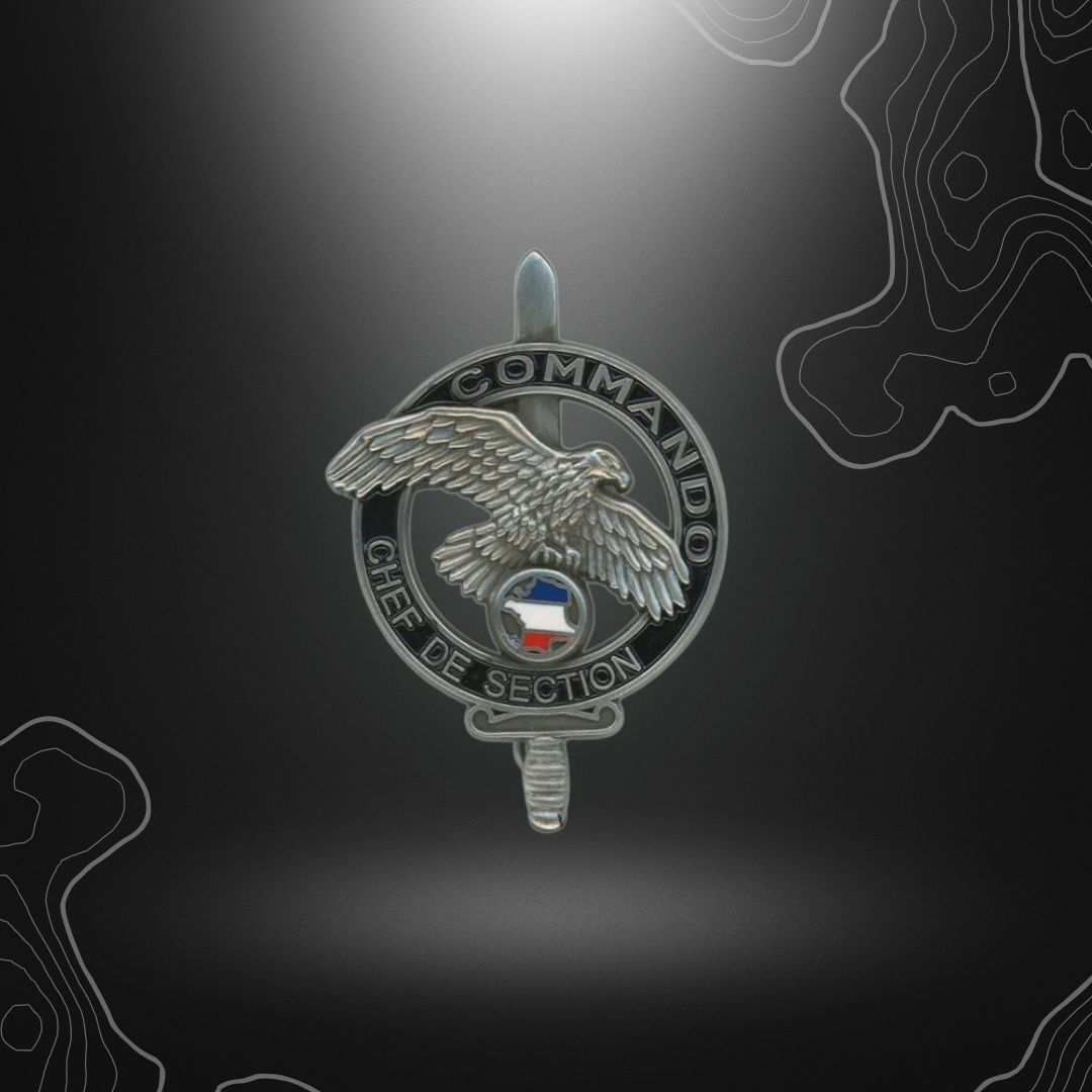 Logo du brevet commando chef de section militaire