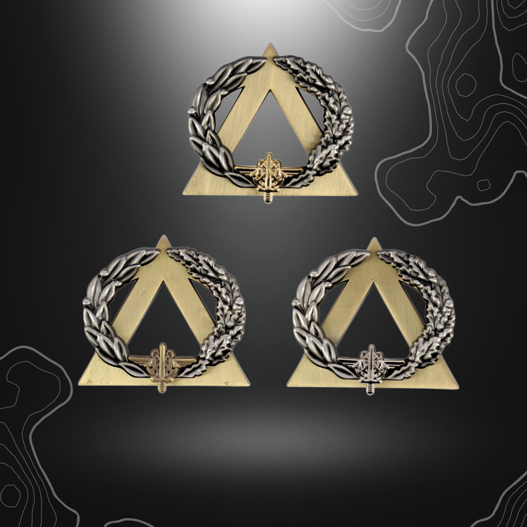 Logo du brevet militaire instructeur secouriste