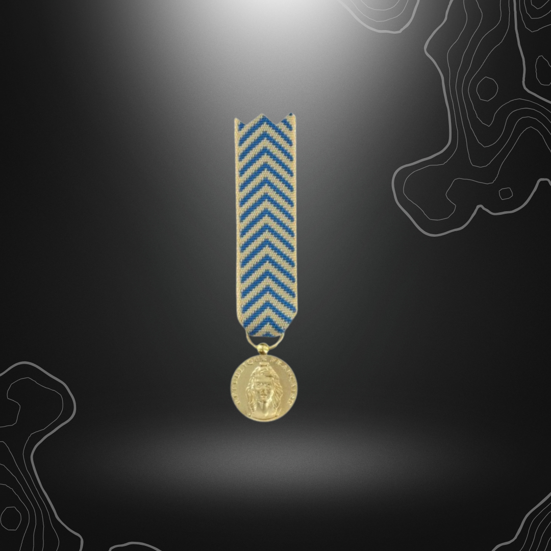 Alt: Médaille de Réduction Reconnaissance de la Nation sans barrette