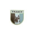 PATCH FRANCE CHIEN DESERT