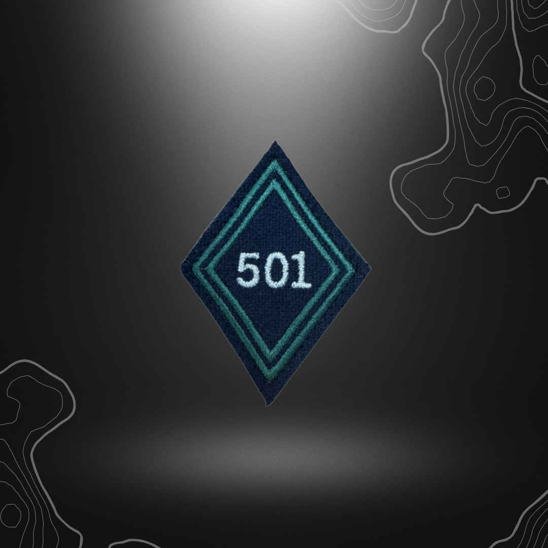 PATCH LOSANGE D'ARME 501 RCC