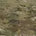 Multicam
